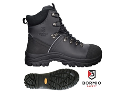 Sicherheitsschuh Bormio Safety Alvier